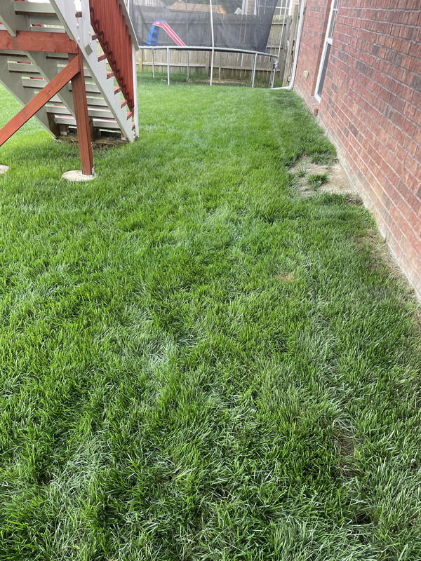 CF03F7D2-66AE-44BC-B586-184E7B76A486