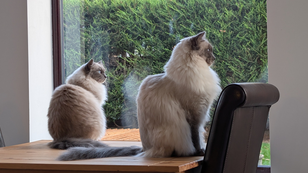 PXL 20251105 152941253