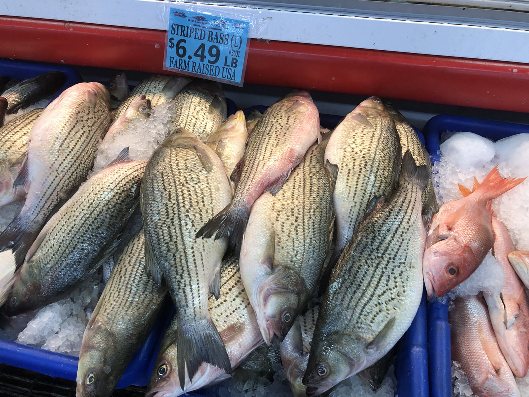 62FB2CA6-99F3-4716-99B2-C0A69BC00FD6