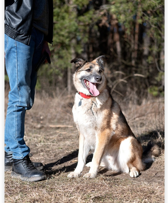 Изображение WhatsApp 2025-04-16 в 11.40.09_0f9d5f7e