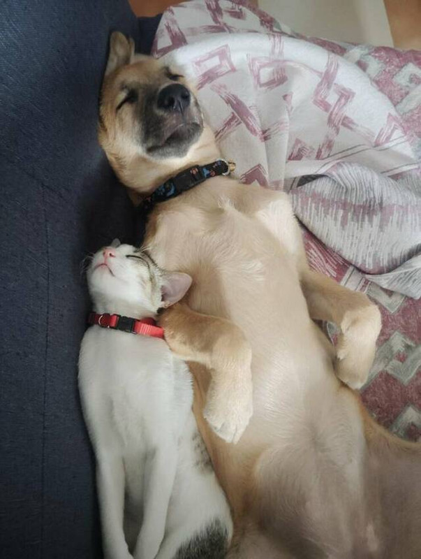 picdump-kw19-2025-027.jpg