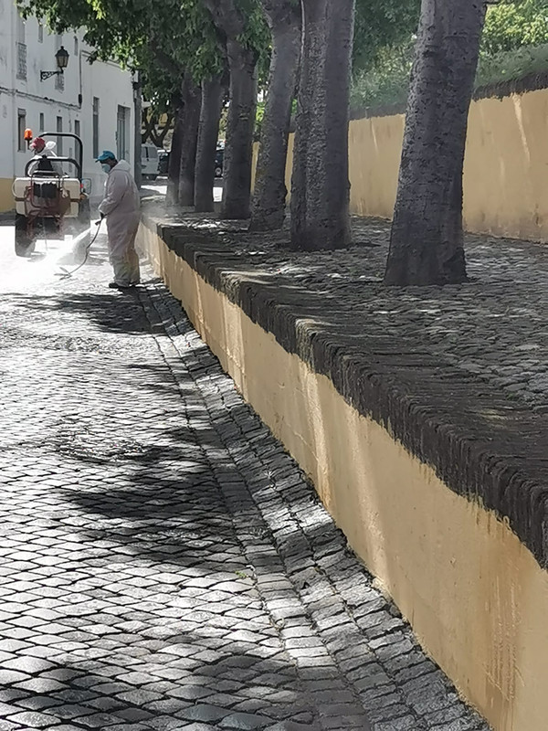 ELVAS: CÂMARA MUNICIPAL PROSSEGUE COM AÇÕES DE HIGIENIZAÇÃO 2