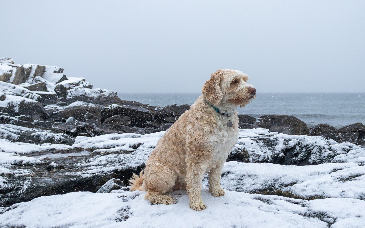 Wallis Sands Beach 1