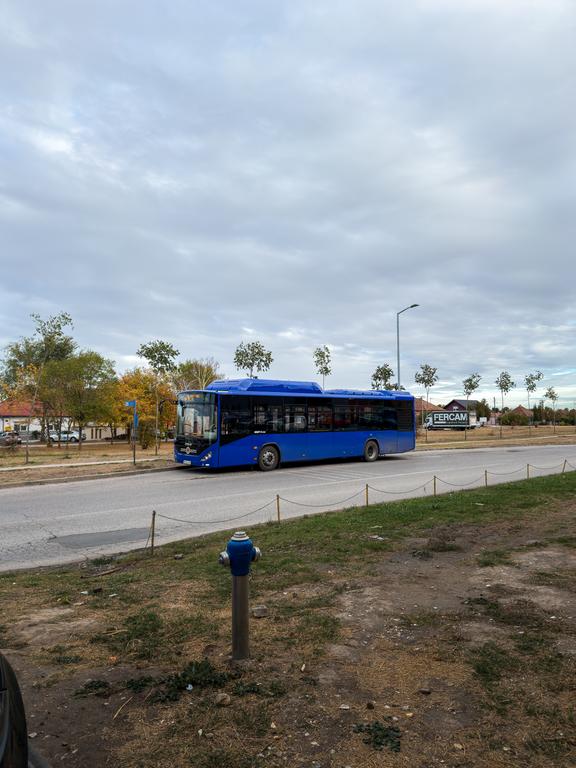 IMG 3622