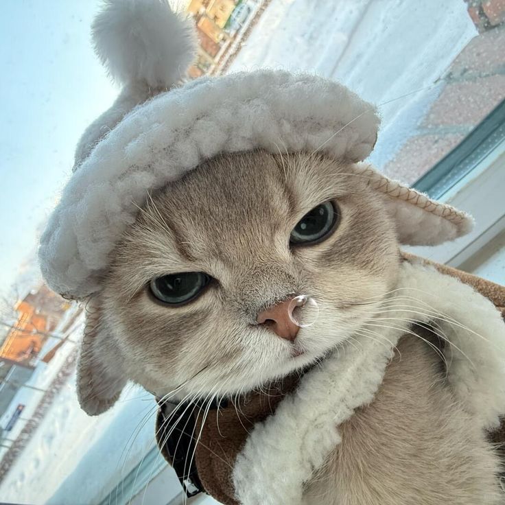 RAJASLOTO :: Link Slot Deposit Qris Terbaru Akses Situs Gacor Apk 8.1 image 1