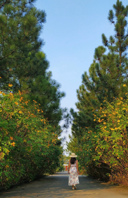 75246662_2443863829170373_5649414382736637952_o