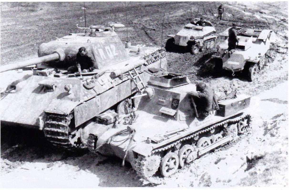 German Military Vehicle Rarities (2) (Tankograd 4002)10