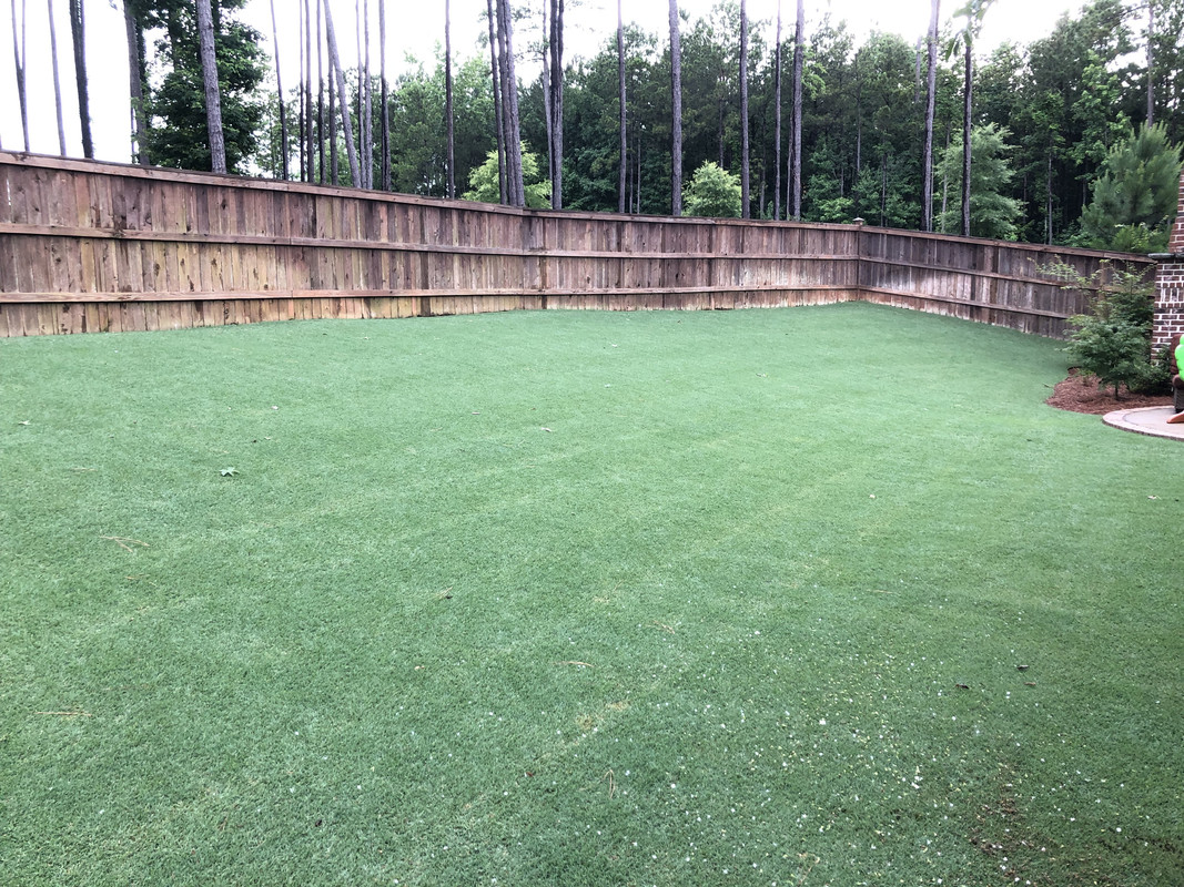 0655CA38-2F95-4C95-A7AB-69B7FED67DA5