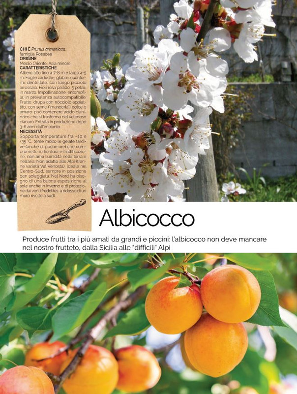 Il Mio Giar Lug-Ago 2021 (9)