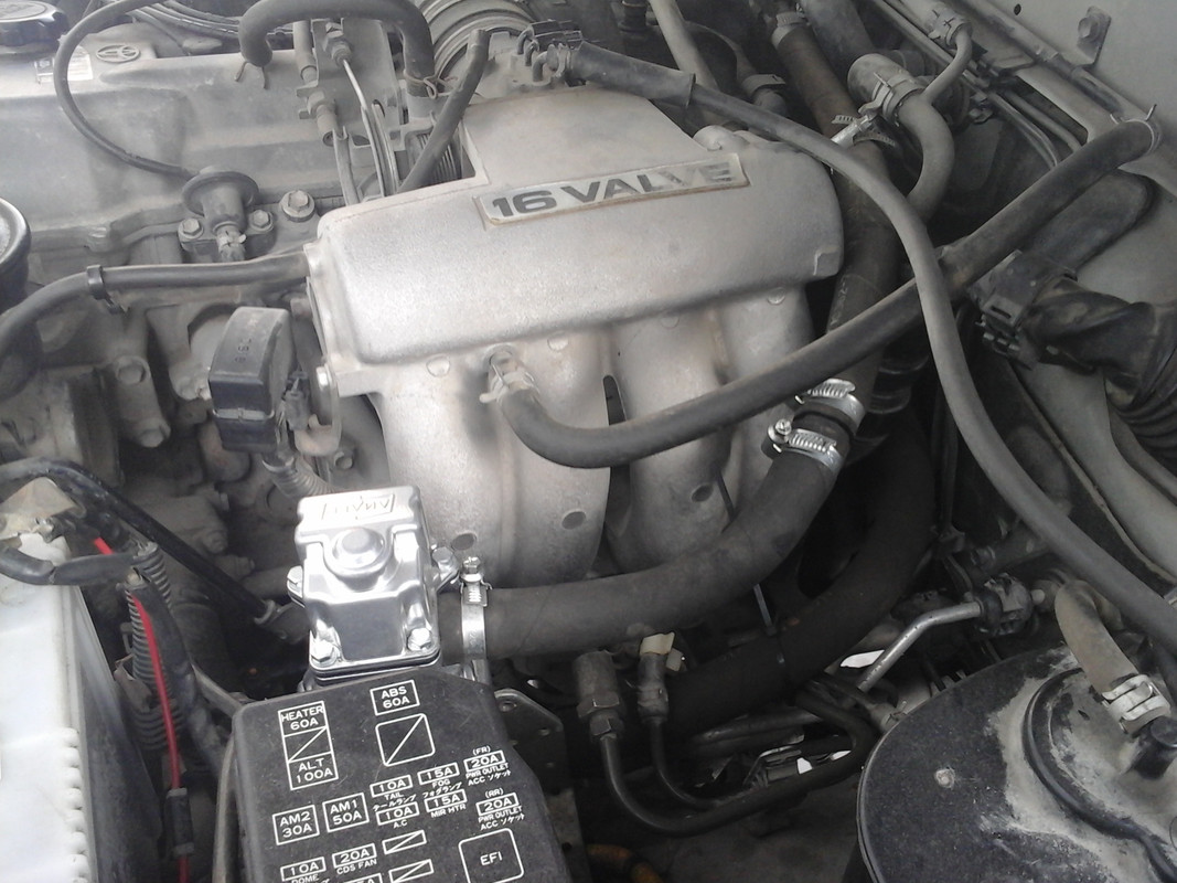 1613371357312-2101153768