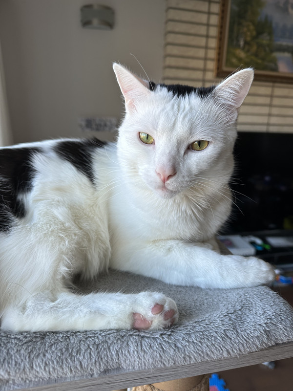 46164754-B585-4468-BA29-73E52ED3DFDC