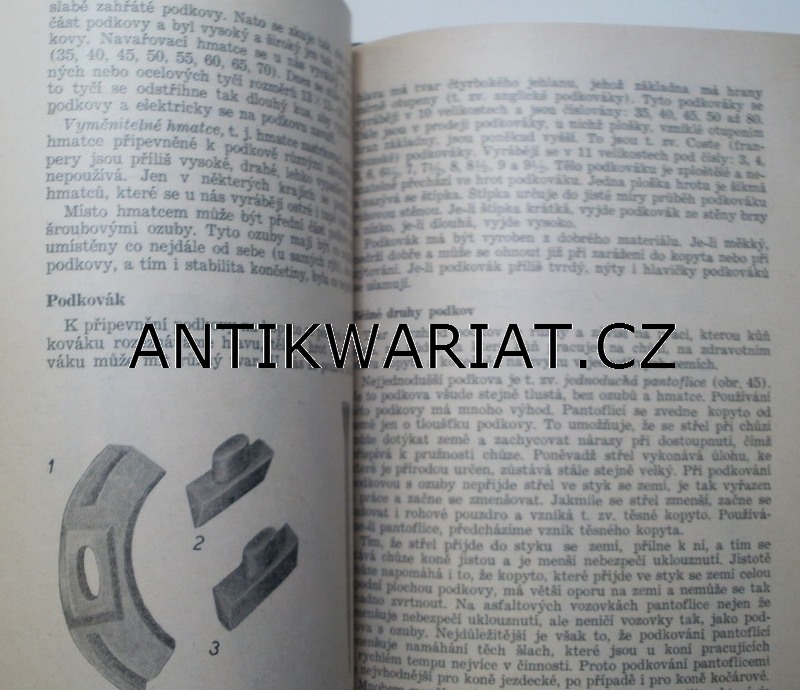 11a-AWECKO00007