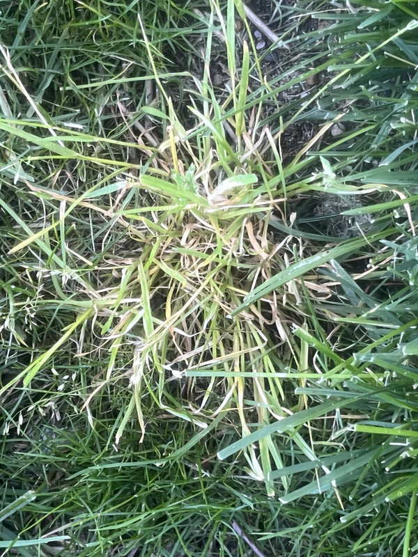 843FA456-4EEB-4CF2-80F4-3561F85B7303