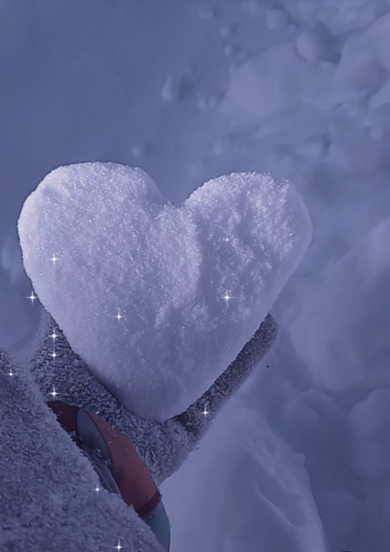 Screenshot_20231017_203425_Pinterest