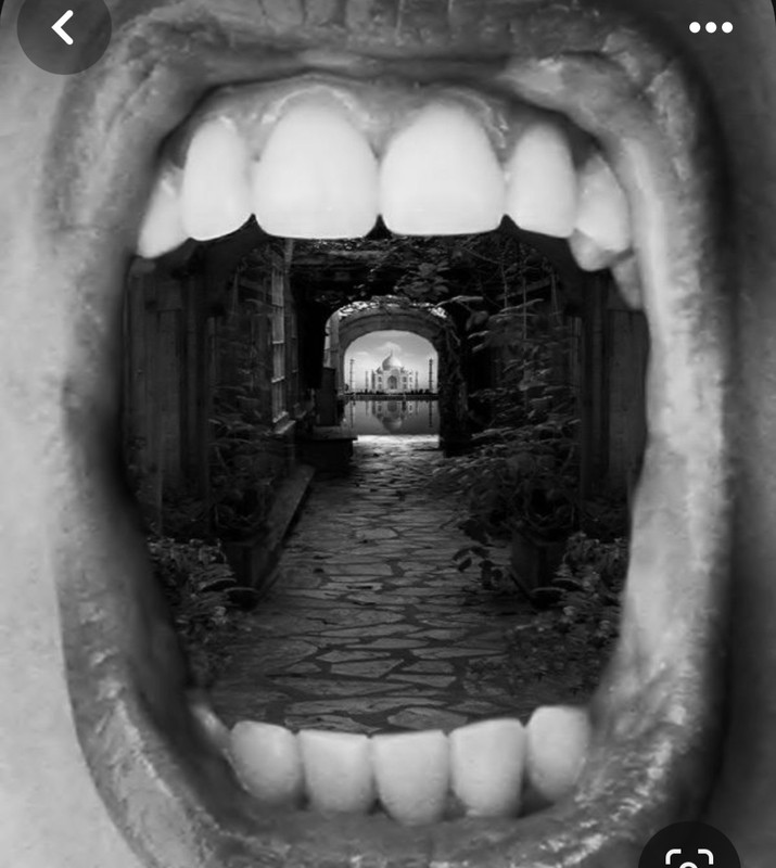 Screenshot_20231220_143816_Pinterest