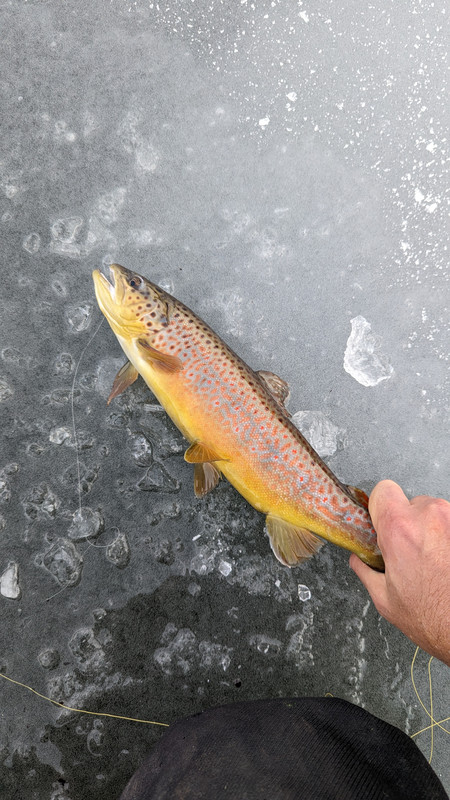 PXL_20221215_170100336