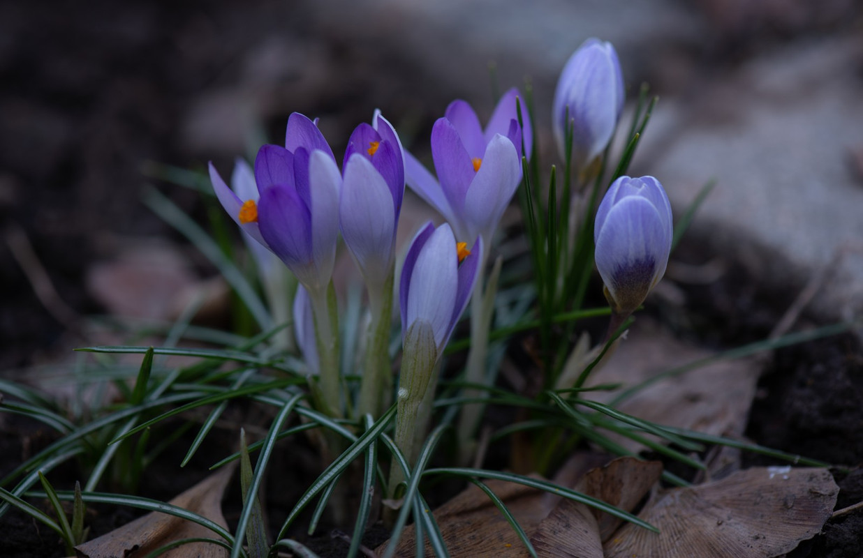 IMG-a3c2df1aa50ea40b4f9507fd35741d3a-V