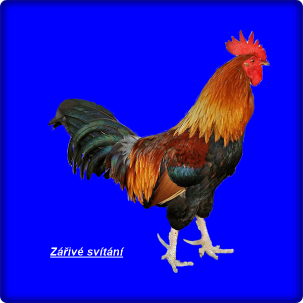 An den Beitrag angehängtes Bild: https://i.postimg.cc/fLJmmZVR/fcee251f75-54041057-o2.png