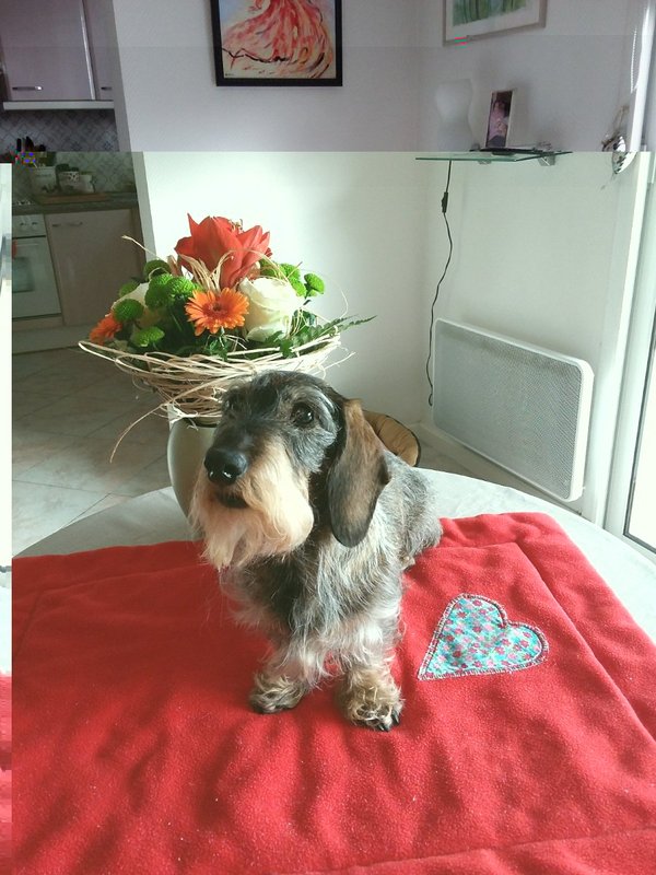 [Image: 20171227-134444-1200x160-CLARA.jpg]