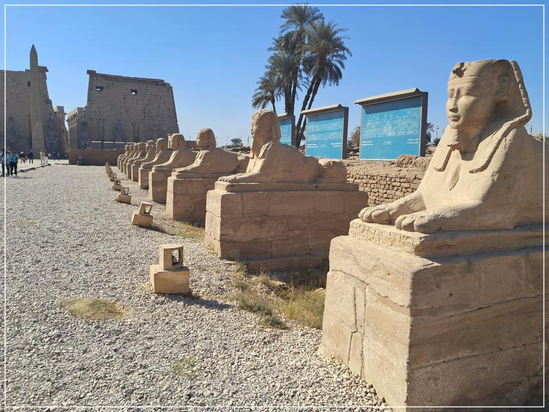Al fin, Egipto. - Blogs de Egipto - Llegada a Luxor: Valle de los Reyes, templos y palacios (12)