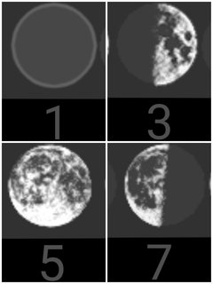las 4 fases de la Luna