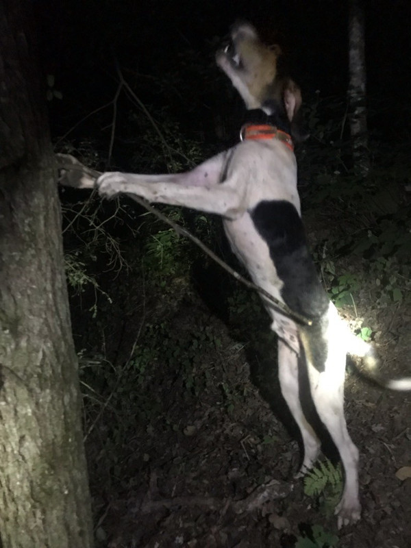 D2BE4610-D150-4E80-B52F-EE5376832BDB