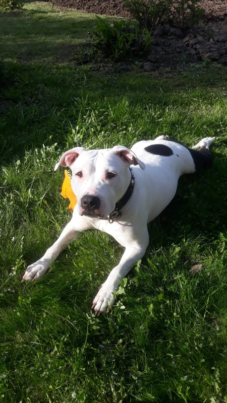 15A512A3-3AC5-49D1-B3AE-DCAE7EE469E2