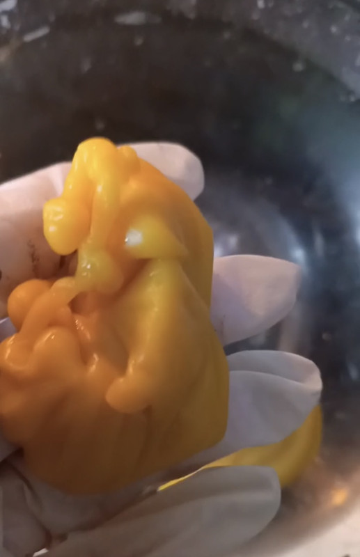 1F7E7DBC-4AF8-427E-835D-B81EFC68A621