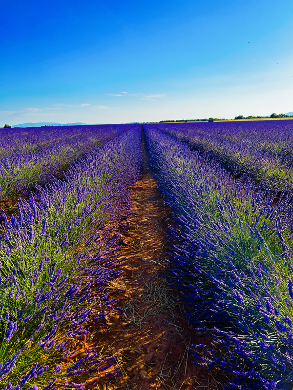 87F1A9B5-5039-4D5A-B60D-9A2073BFA058