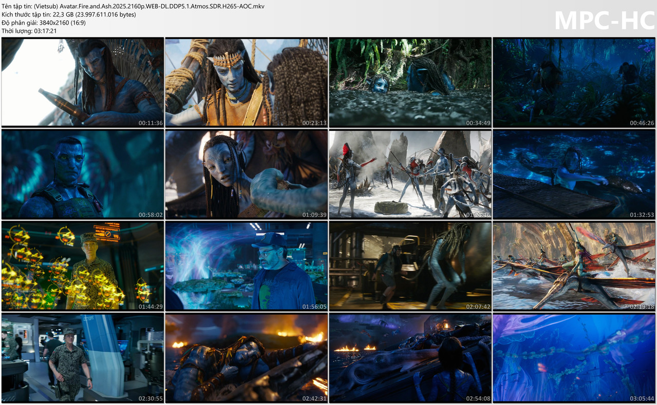 (Vietsub)-Avatar-Fire-and-Ash-2025-2160p-WEB-DL-DDP5-1-Atmos-SDR-H265-AOC-mkv-thumbs.jpg