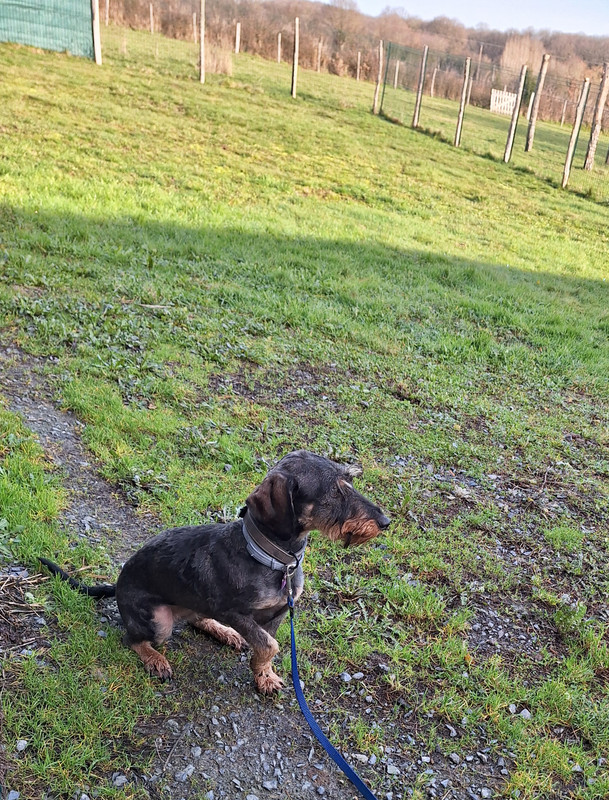 [Image: 20240127-104718.jpg]