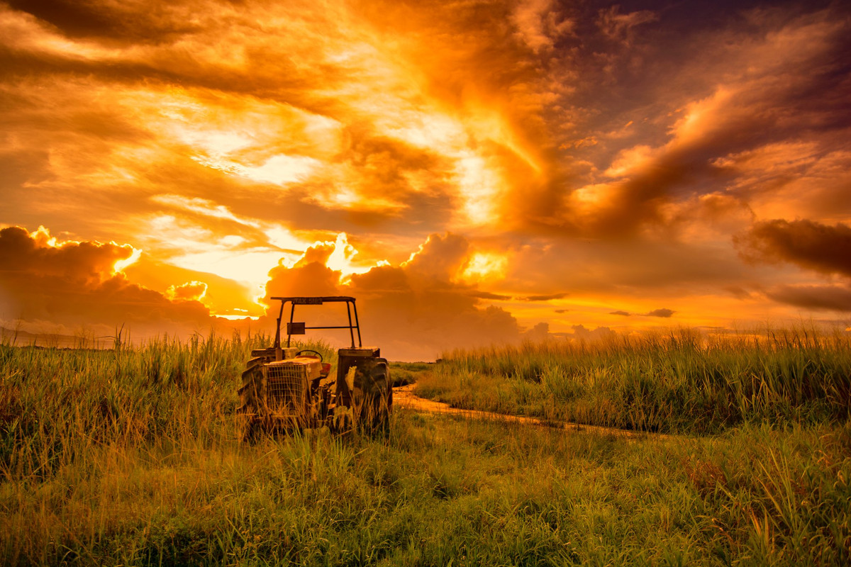 orangeskybrokentractor.jpg