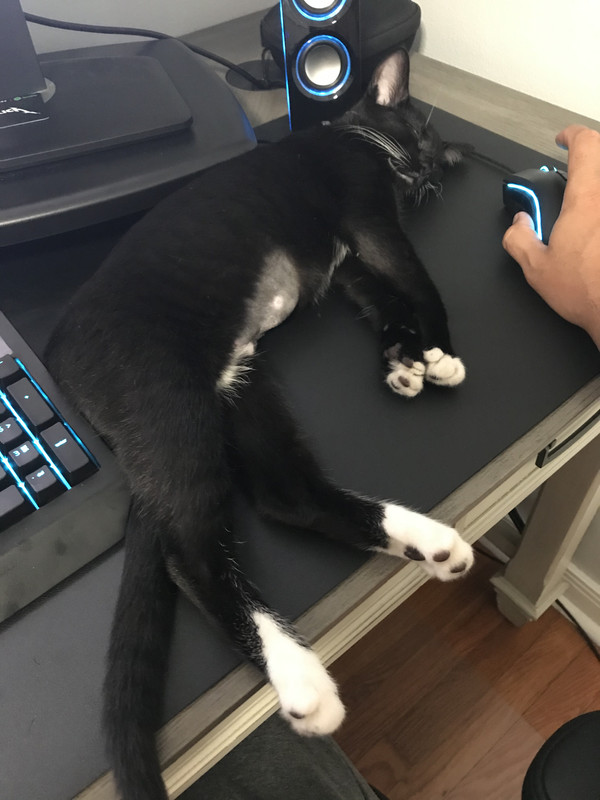 8FAF69BF-DA2C-4A99-98B9-7C517384B955