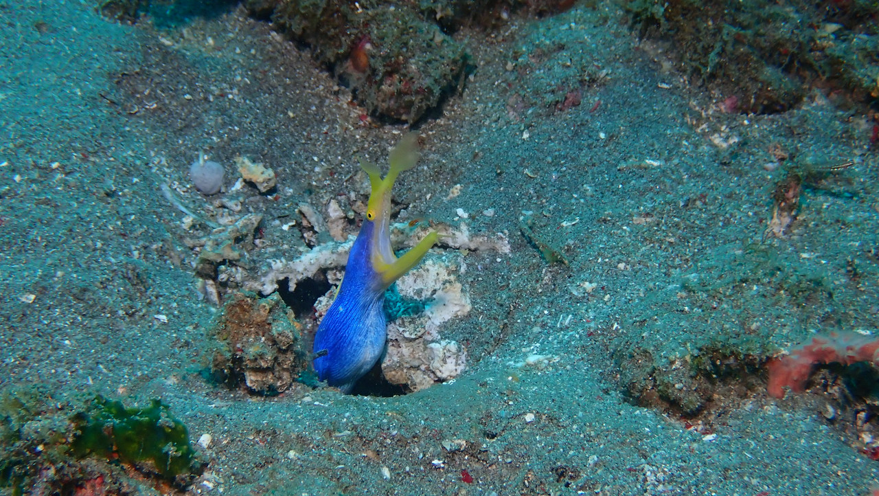 EA6F3F60-BF17-4099-ADAD-81581E91364C