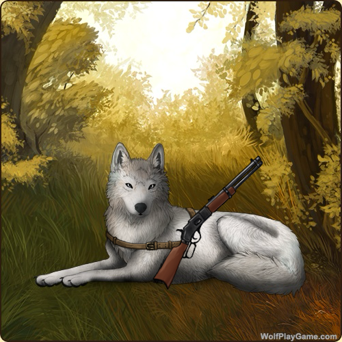 IMG-9455.png