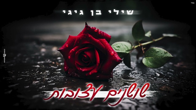 תמונה