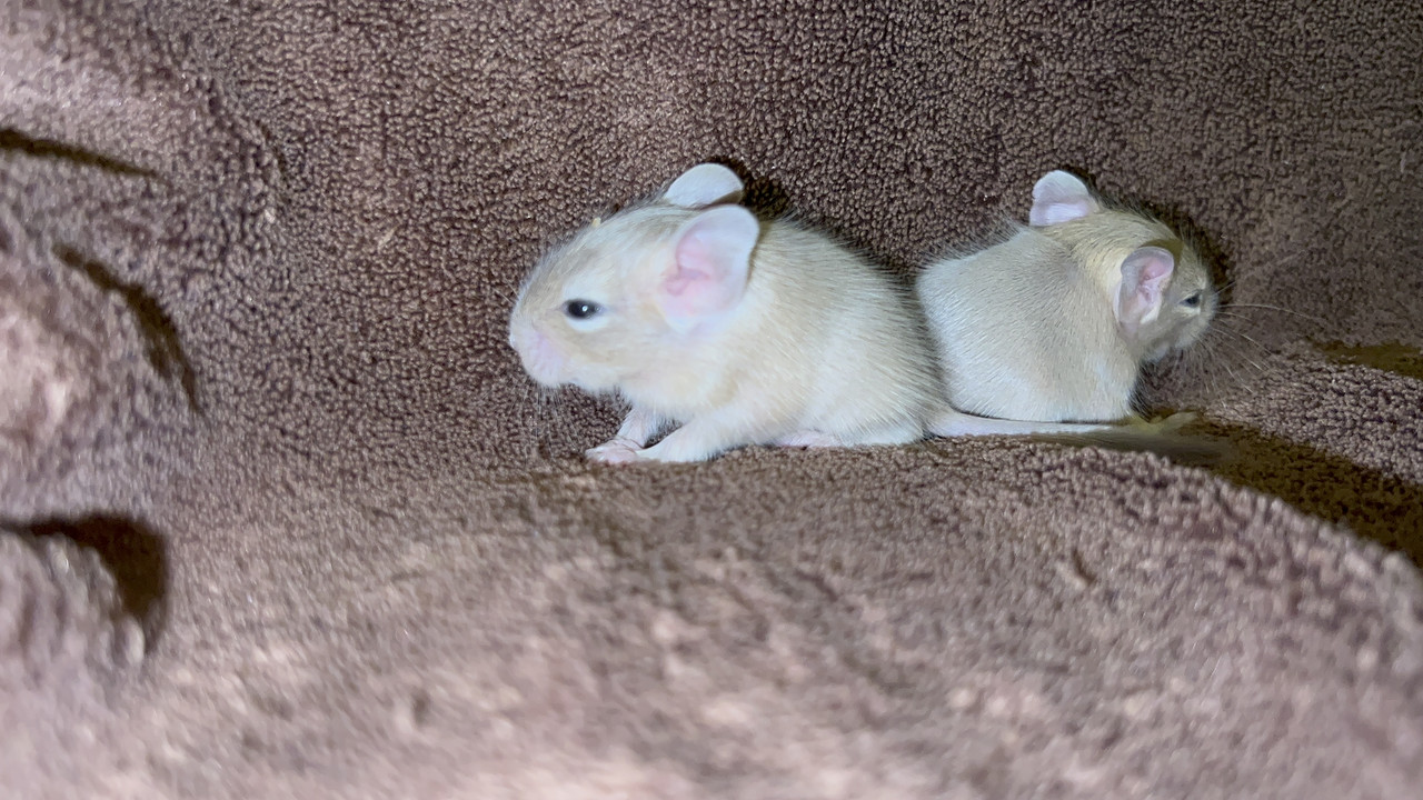 84229C1F-C2AE-4BB1-9311-71A062DEA7EE