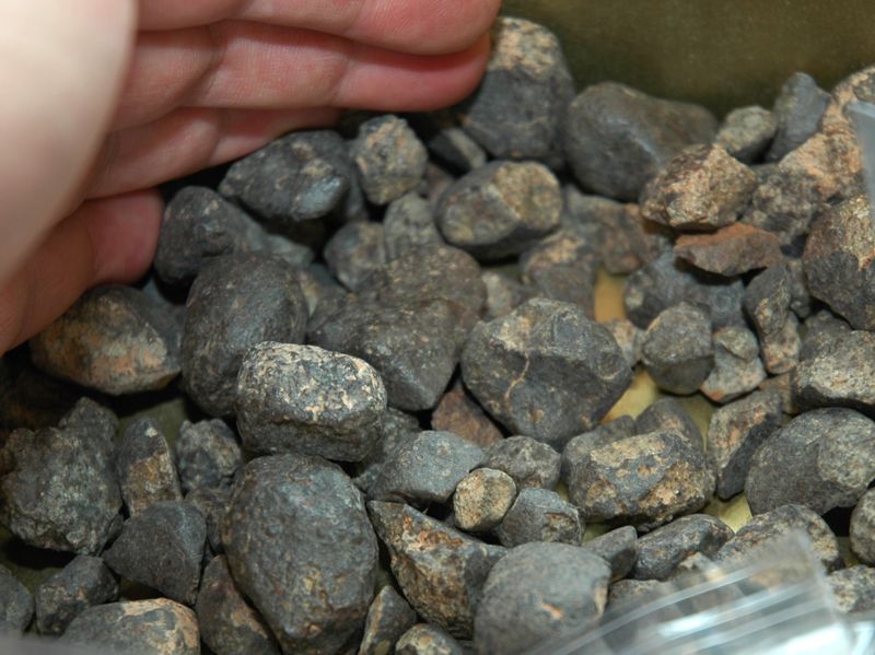 oc_nwa_pebbles_3181l
