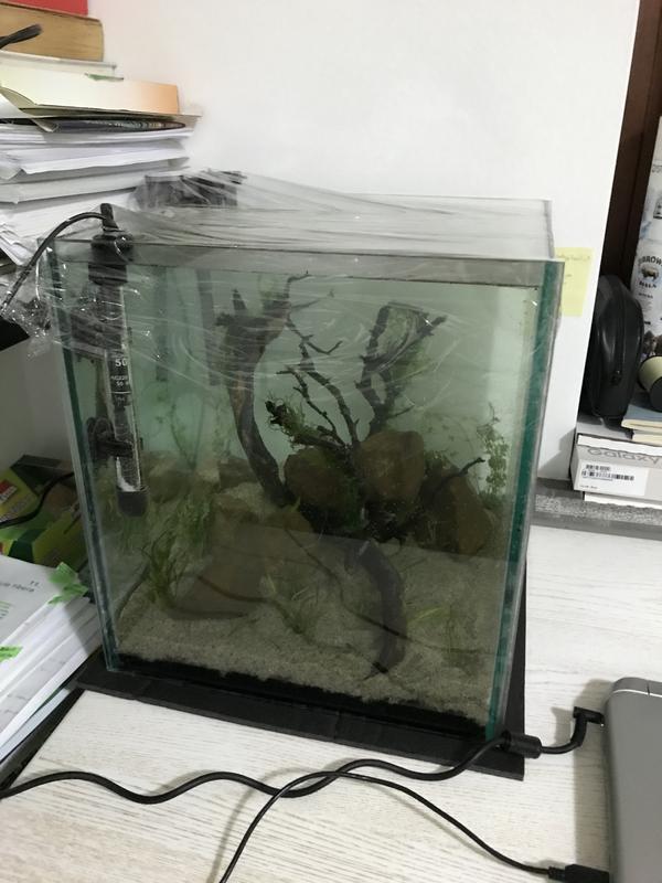 DD87FA61-30FC-4A39-A1DB-2225199BF485