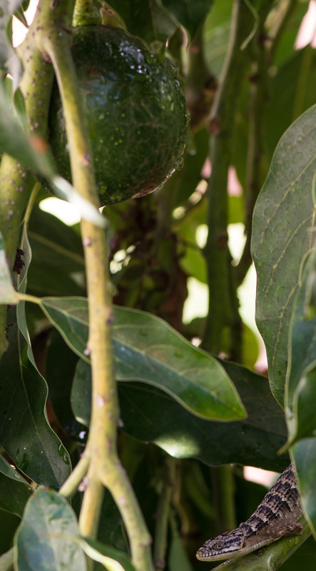 02F89895-303A-4B77-9B9C-4674E8FB00B6