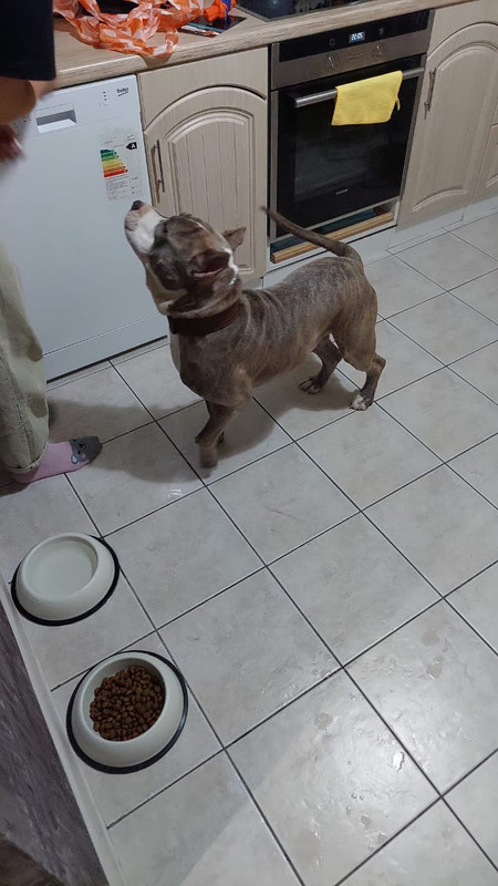 4C688D5B-EB8F-4EF9-99C6-93ECD79F52FB