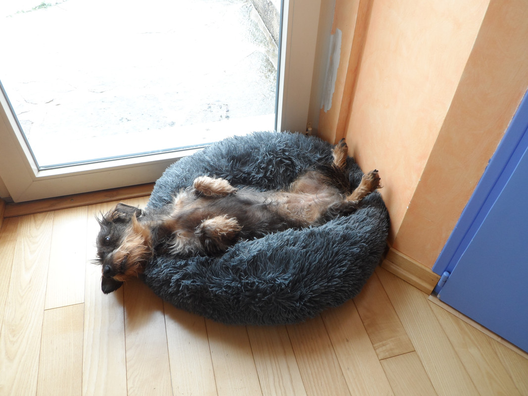 [Image: SAM-9708.jpg]