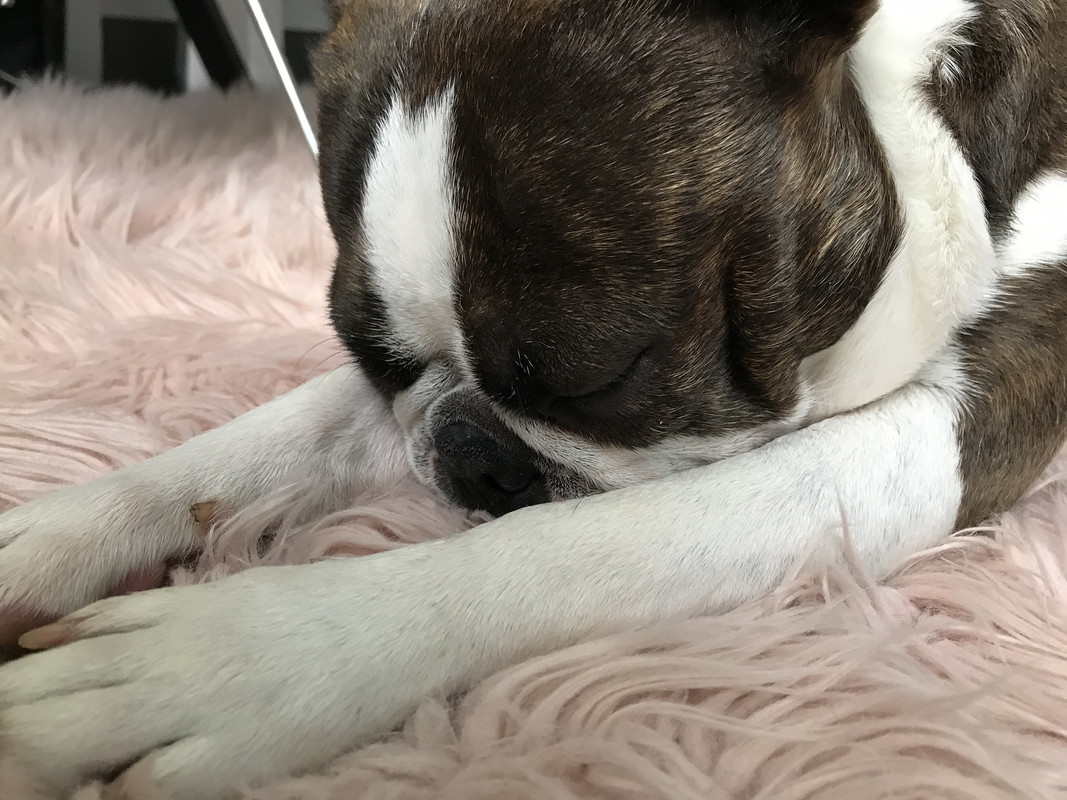 629FABE7-AF08-463F-A7AD-0FB7910D3361