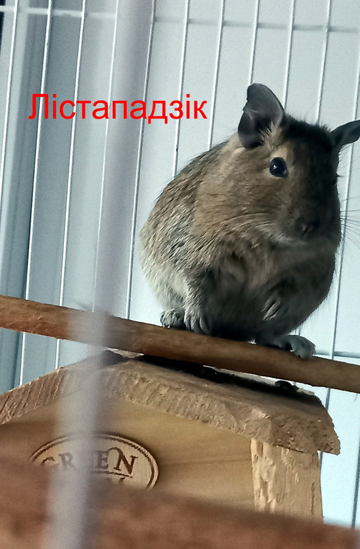 20211204_155354ц