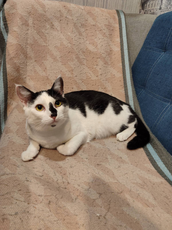 IMG-56bd6dfce314a629d009c1a1856da956-V