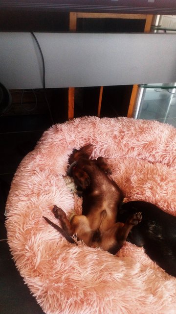 [Image: 20210527-140202.jpg]