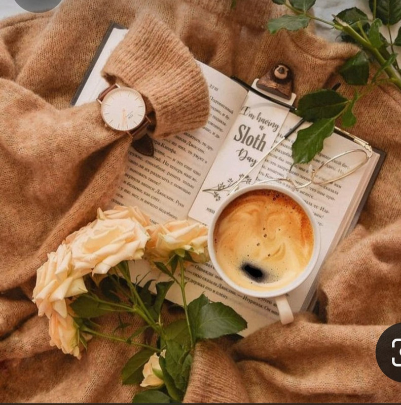 Screenshot_20230909_004317_Pinterest