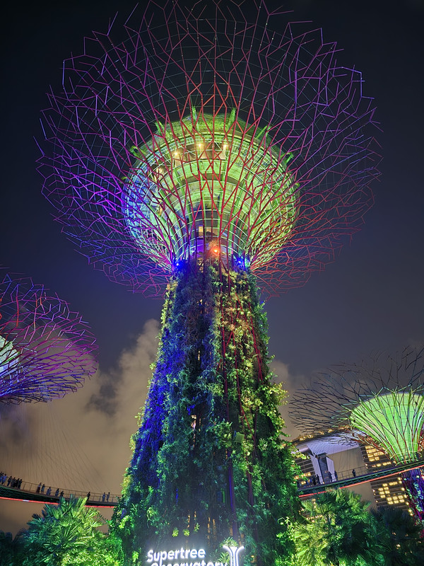 Y POR FIN... SINGAPUR - INDONESIA JULIO 2024 (KUALA LUMPUR- BORNEO- YOGYAKARTA- BALI- SINGAPUR) (7)