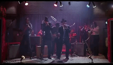 TightGenuineGnat-small