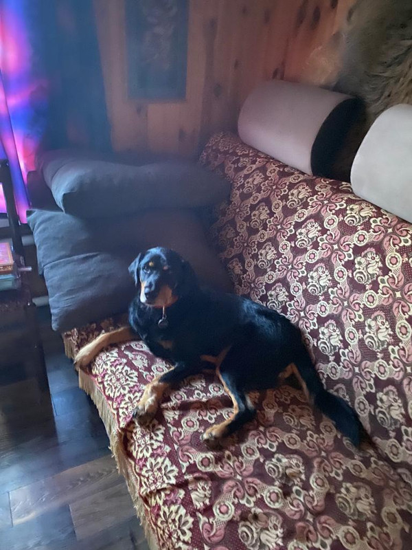 F55AA83E-EE1B-4578-BD3B-381E74E82769